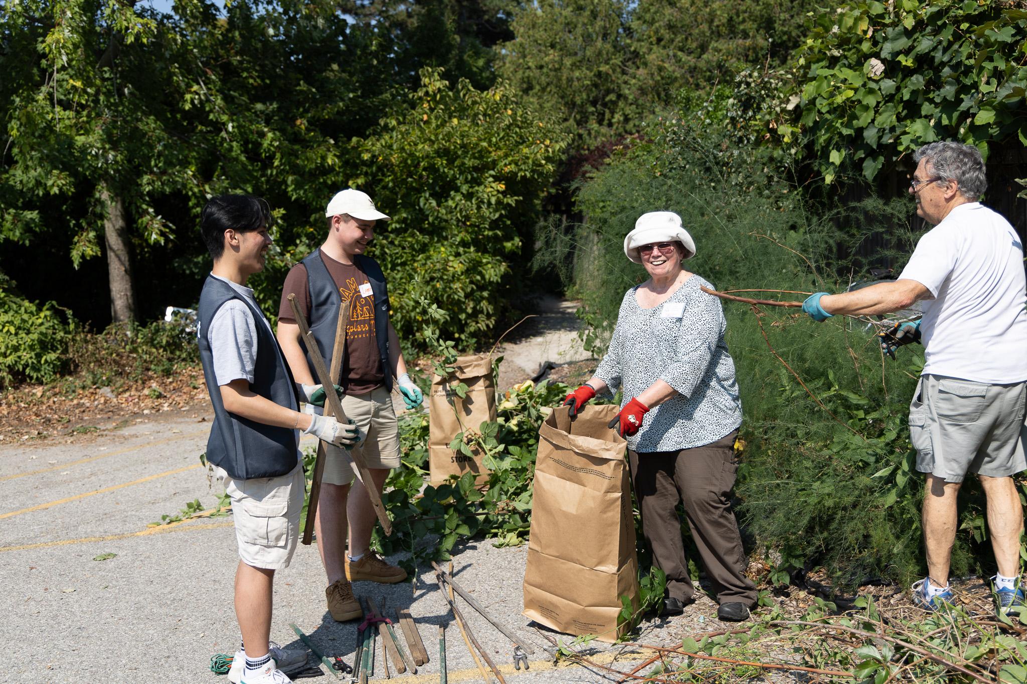 Two students volunteer doing outdoor gardening work with two senior community members.