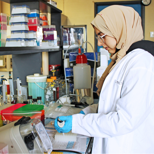 Graduate student in Human Health and Nutritional Sciences