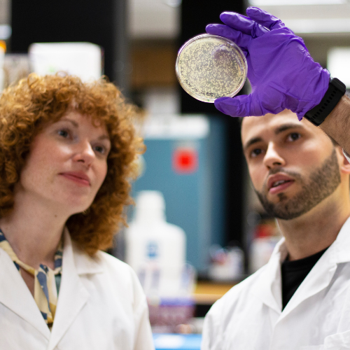 Students working with bacterial samples in a laboratory setting.