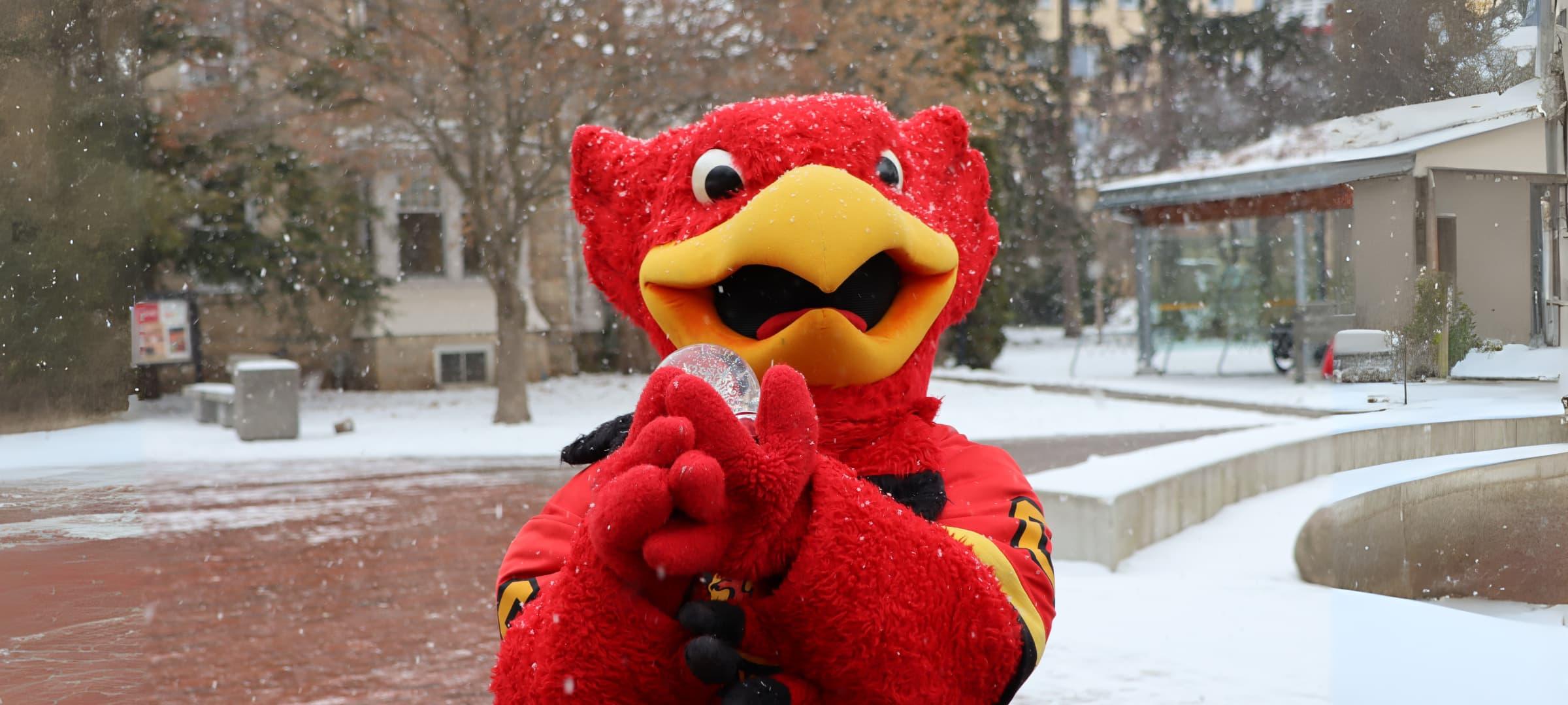 Gryphon mascot holding snow globe outside