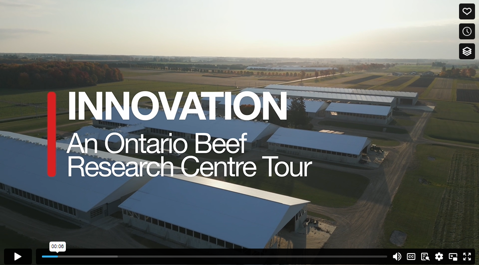 Screen shot from the Innovation; An Ontario Beef Research Centre Tour video showing a drone photo of the research centre's two modern barns and feed centre