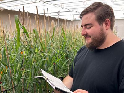 Connor Belot looking down at a notebook while standing in front of a plot of wheat.