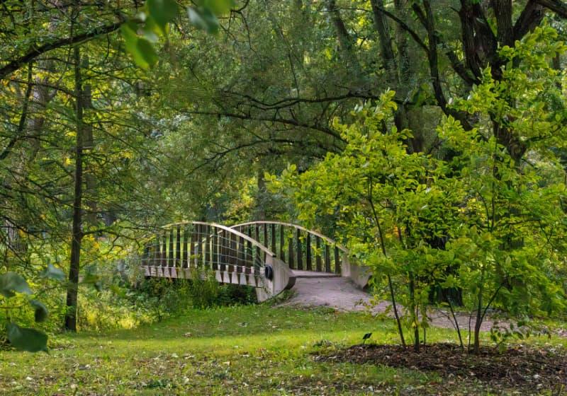 Bridge in the Arboretum
