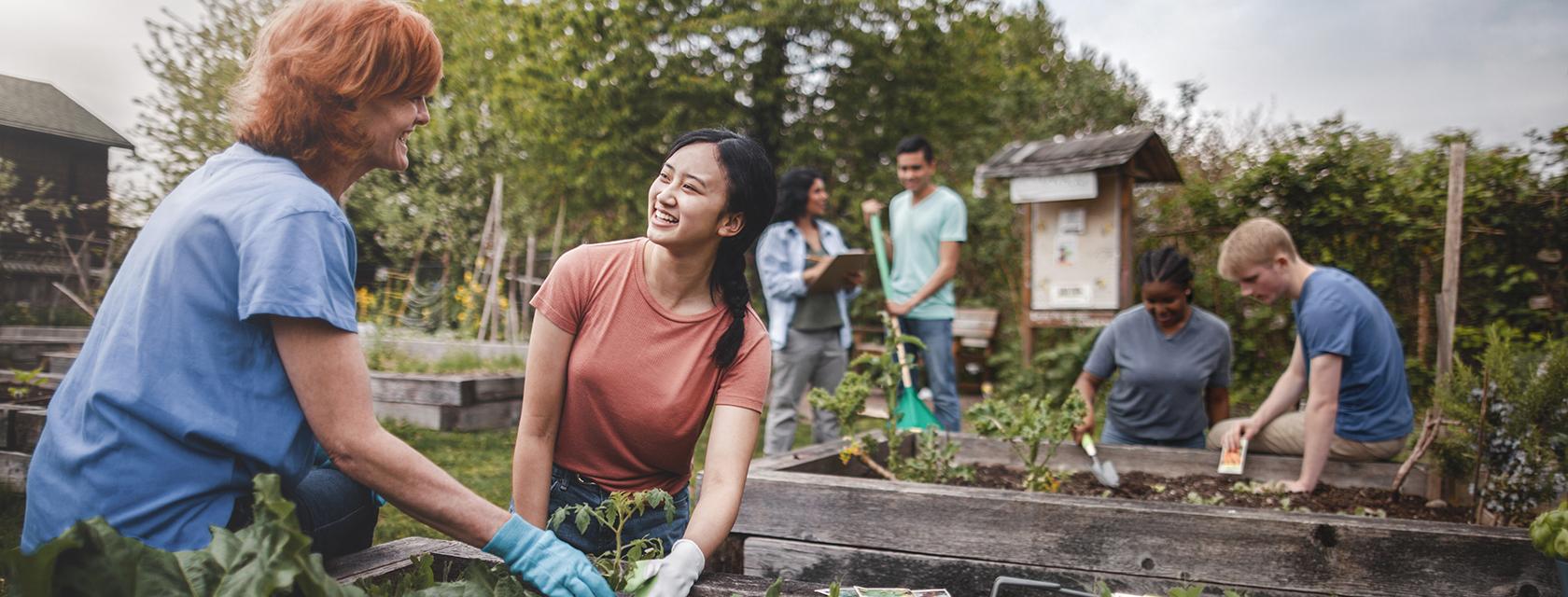 Group of people working at a community garden.