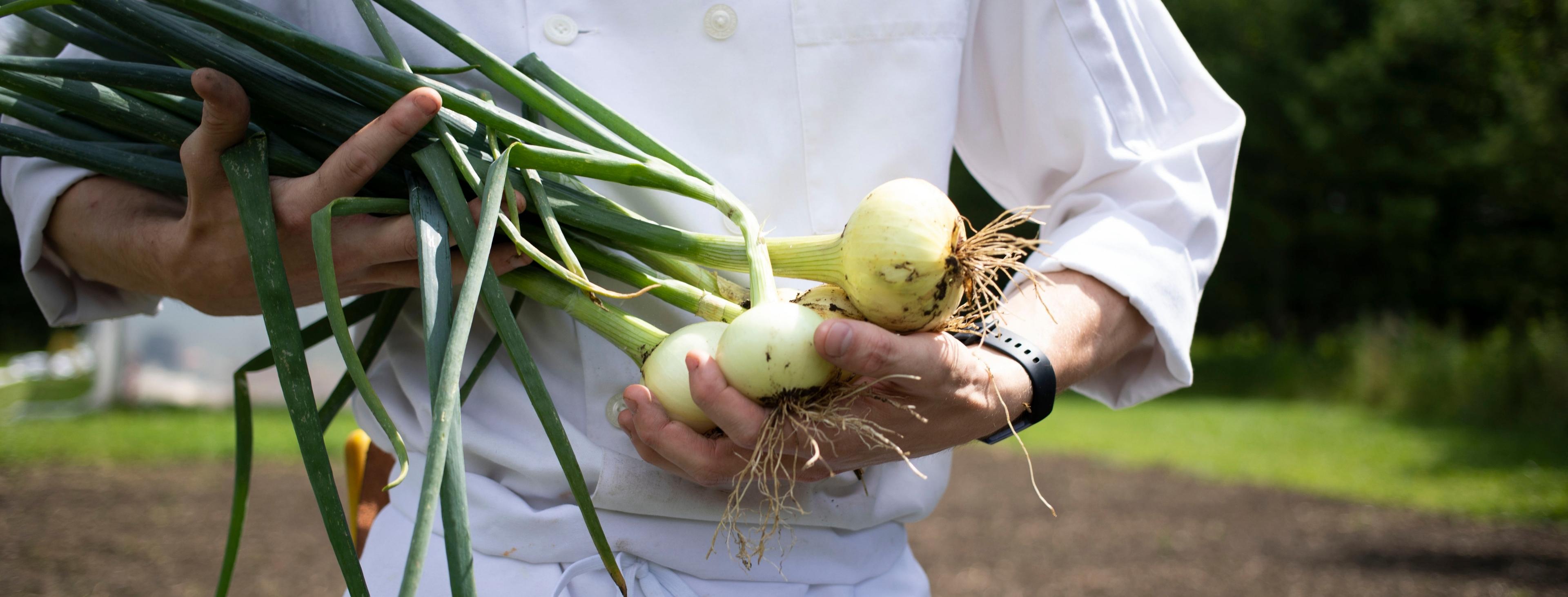 chef holding onions
