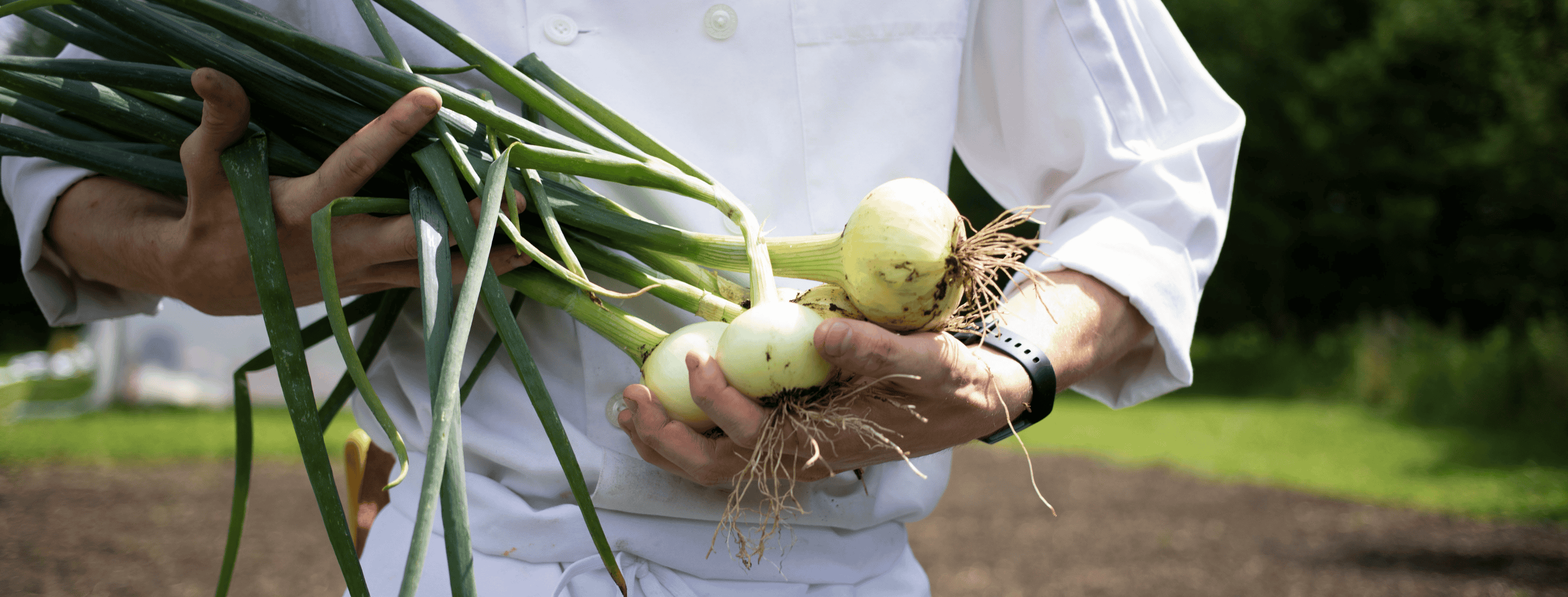 chef holding onions