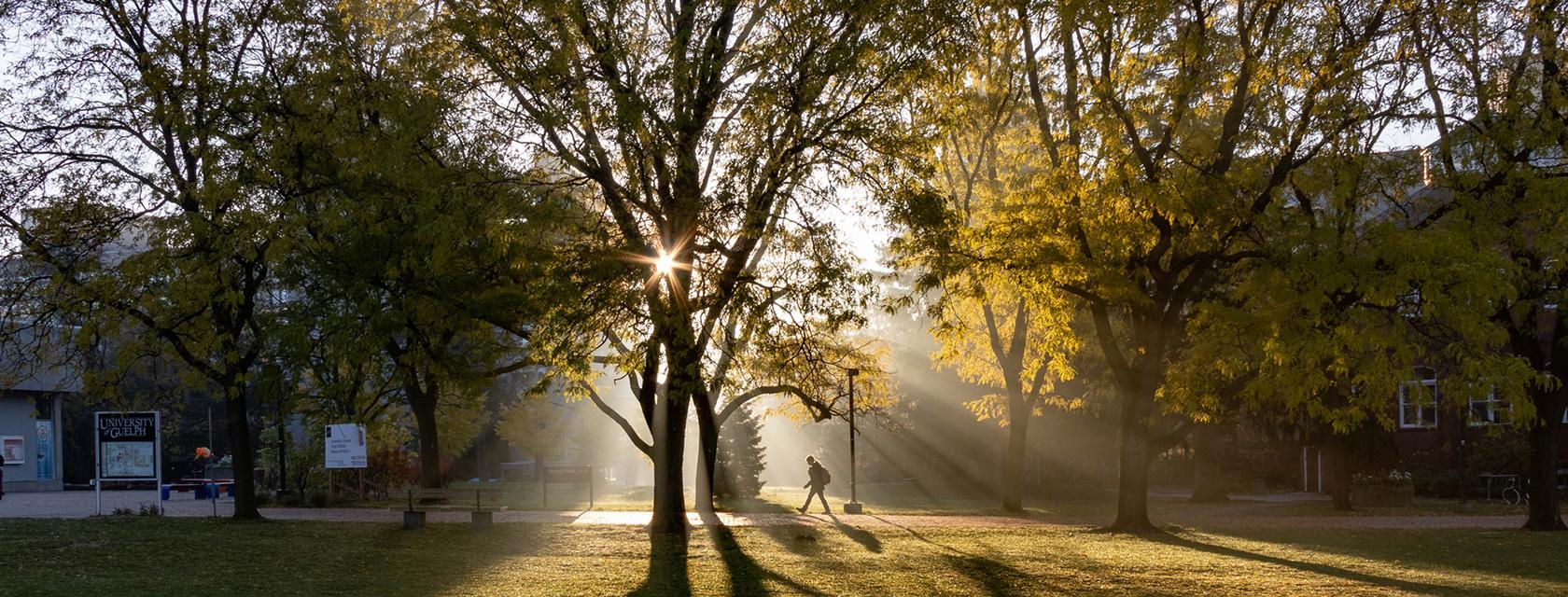 Misty morning on campus.