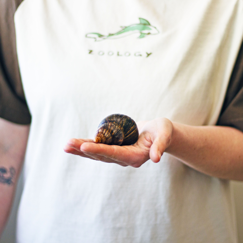 Student with Zoology shirt holding a snail