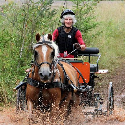 Older woman riding a horse-drawn wagon.