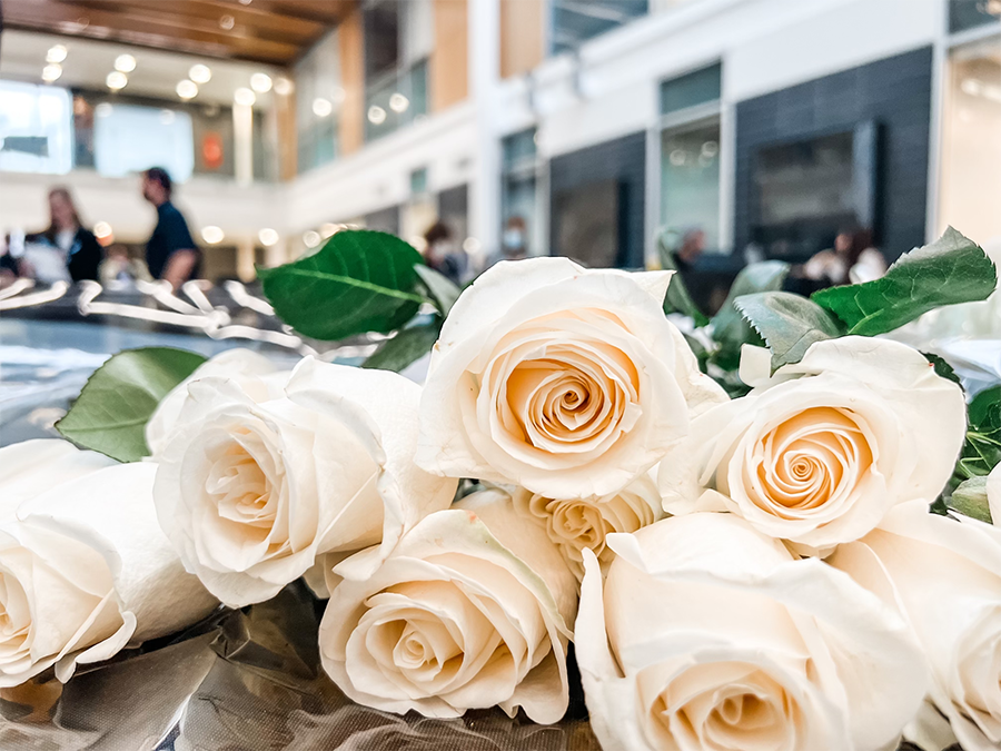 white roses