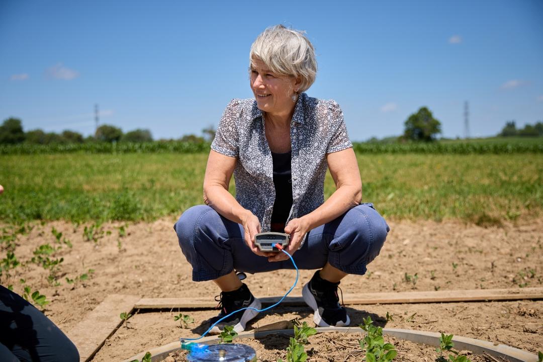 Dr. Wagner-Riddle crouches in a field, using a soil moisture meter to monitor crop conditions under a clear blue sky.