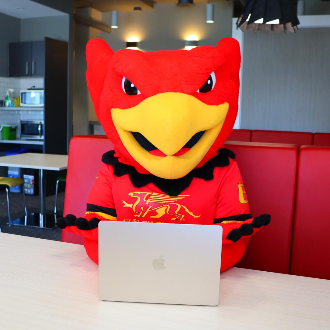 gryph on a laptop
