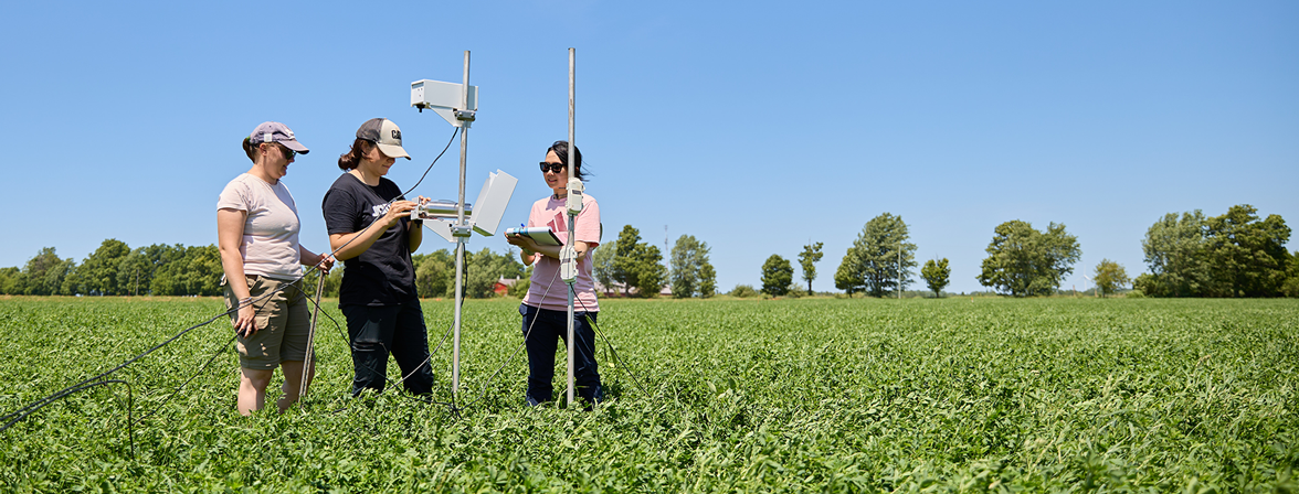 graduate students outside in a field using measurement device