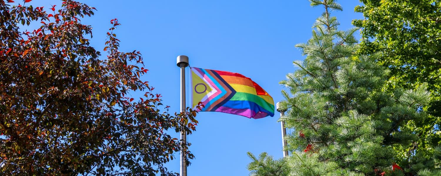 pride flag waving on a pole