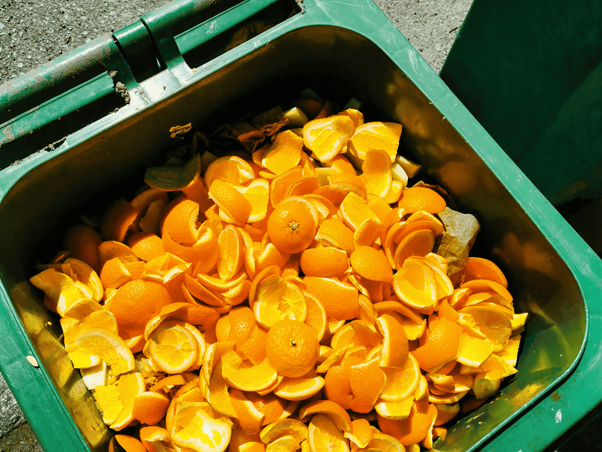 Food Waste in Compost Bin