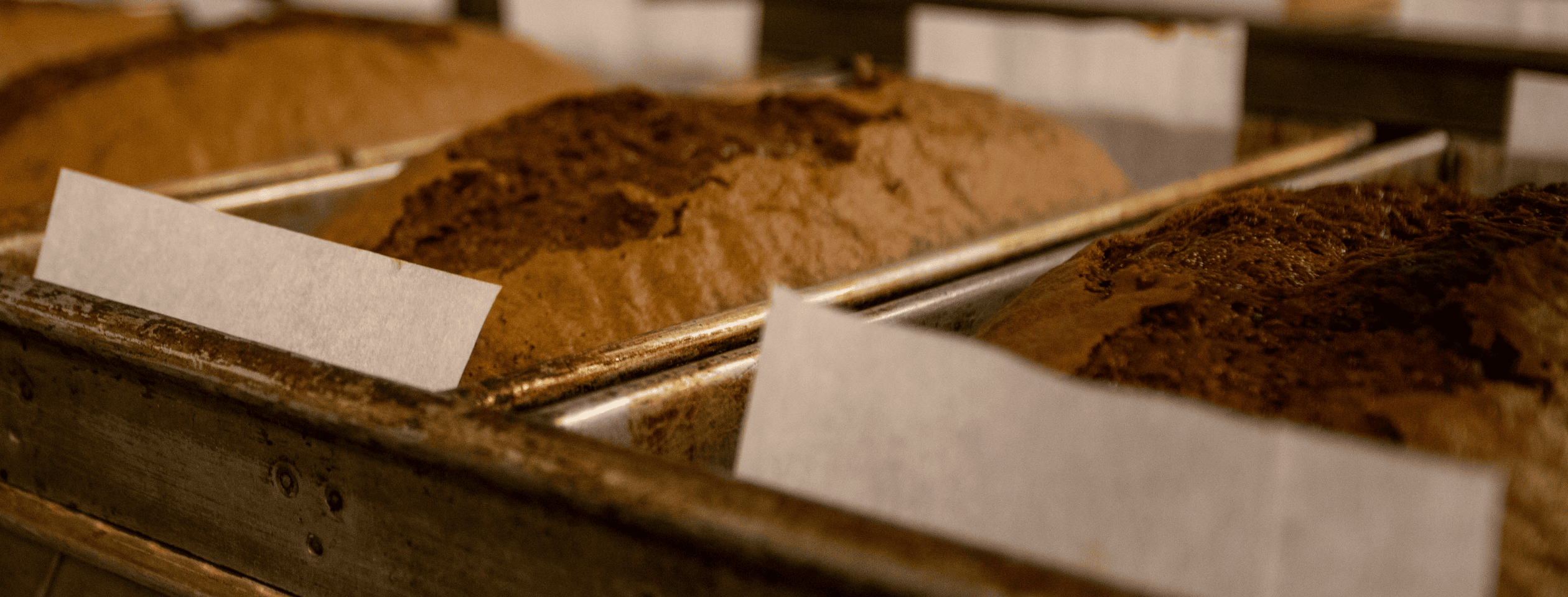 pans of banana bread