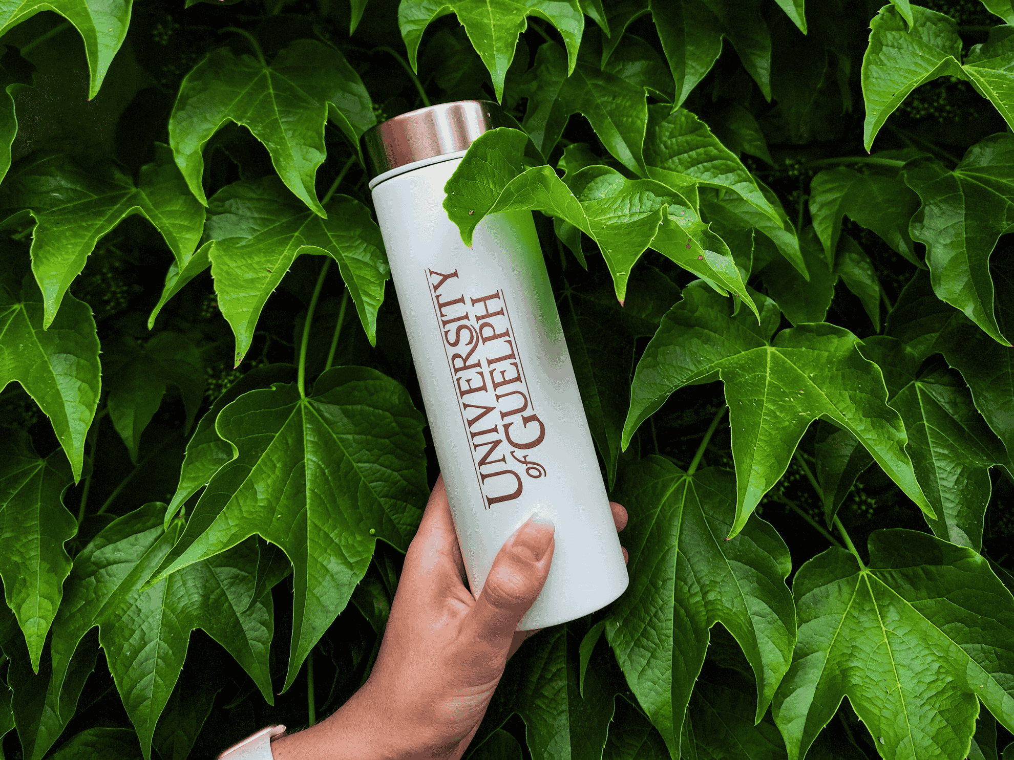 Reusable Mug being held up in front of greenery