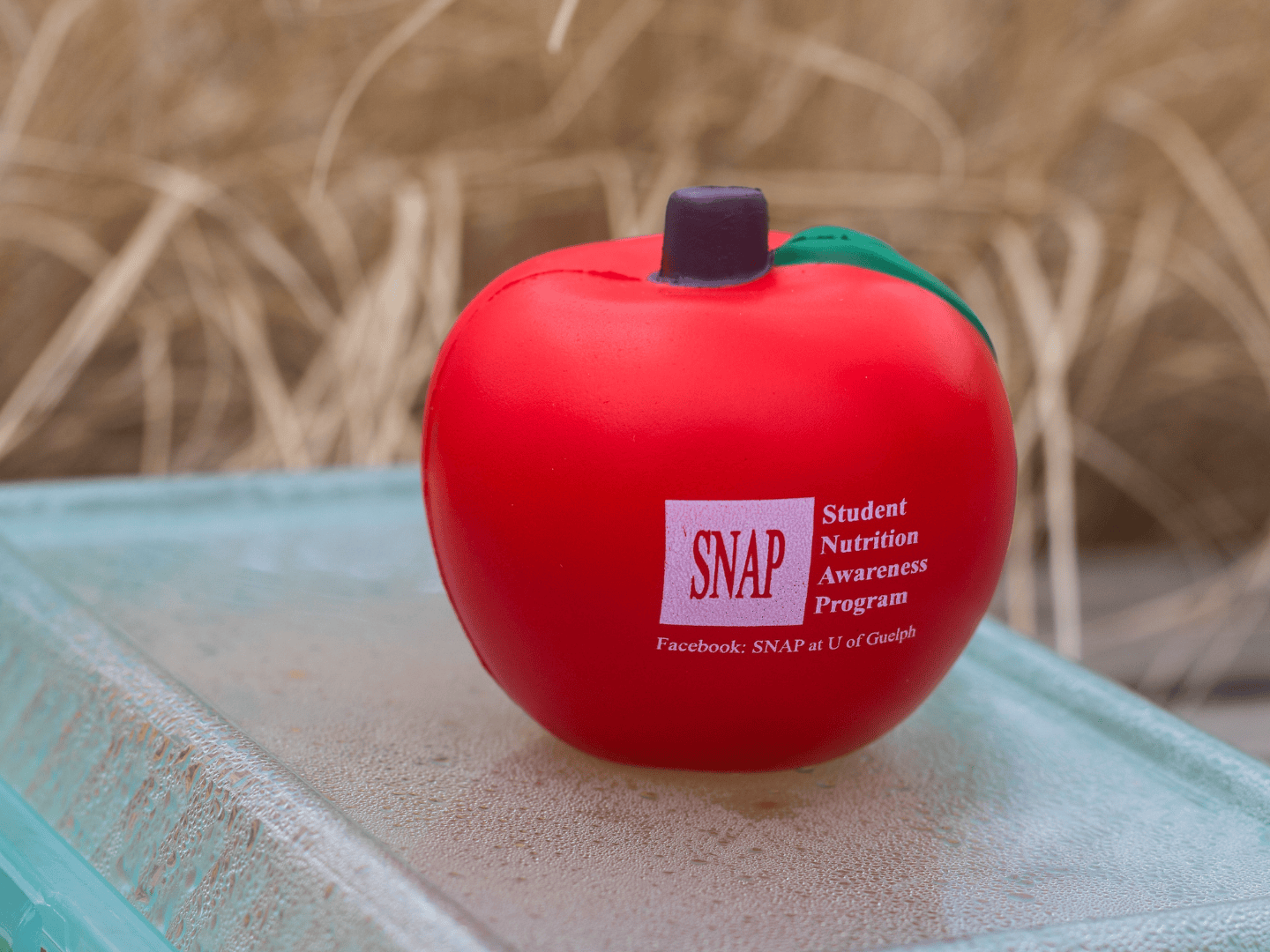 SNAP apple stress ball