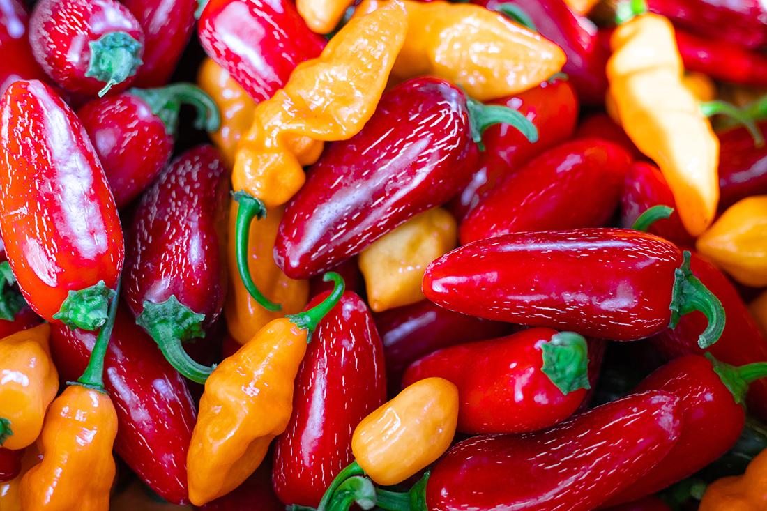 Red and yellow peppers