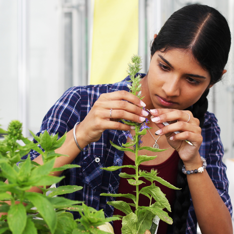 Student in a greenhouse