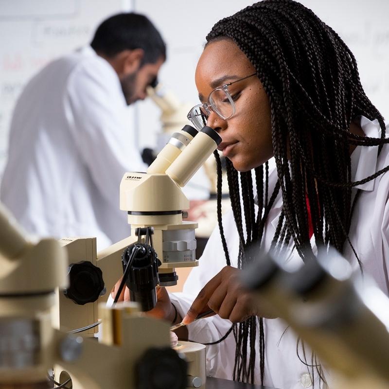 Student using a microscope