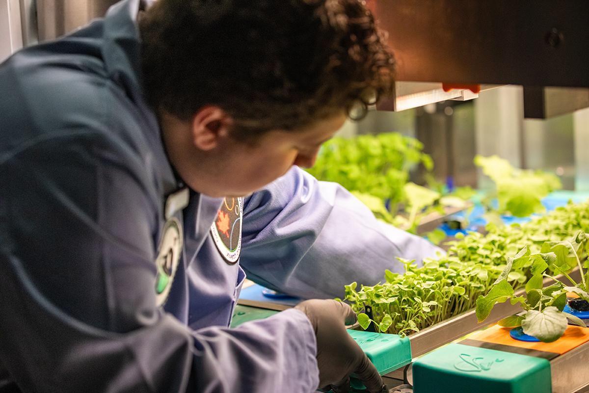 Man putting plants under lights