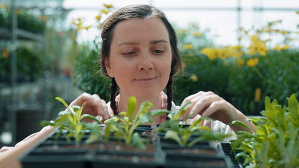 Young woman tending to plants in a greenhouse.