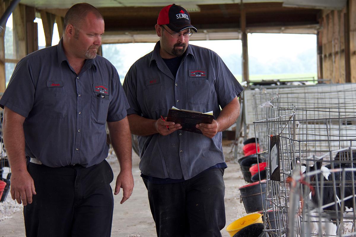 Two Semex workers looking at chickens