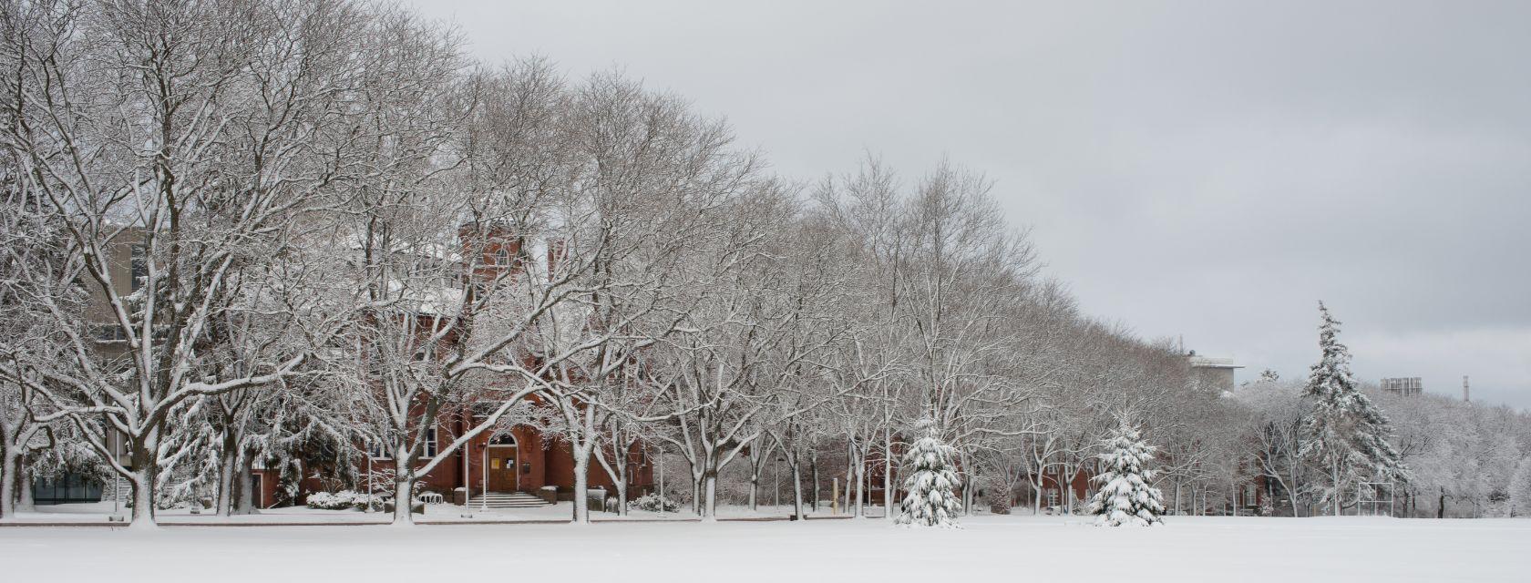Johnston Green Winter
