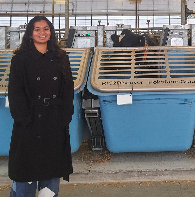 anushka standing in front of a cow feeding system inside of a barn.