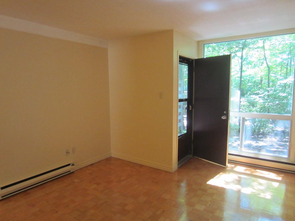 Living Room Back Door