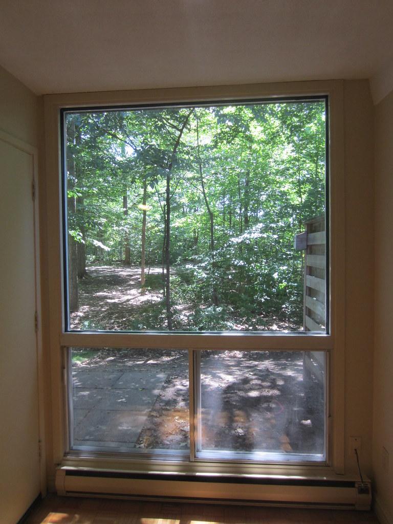Living Room Window