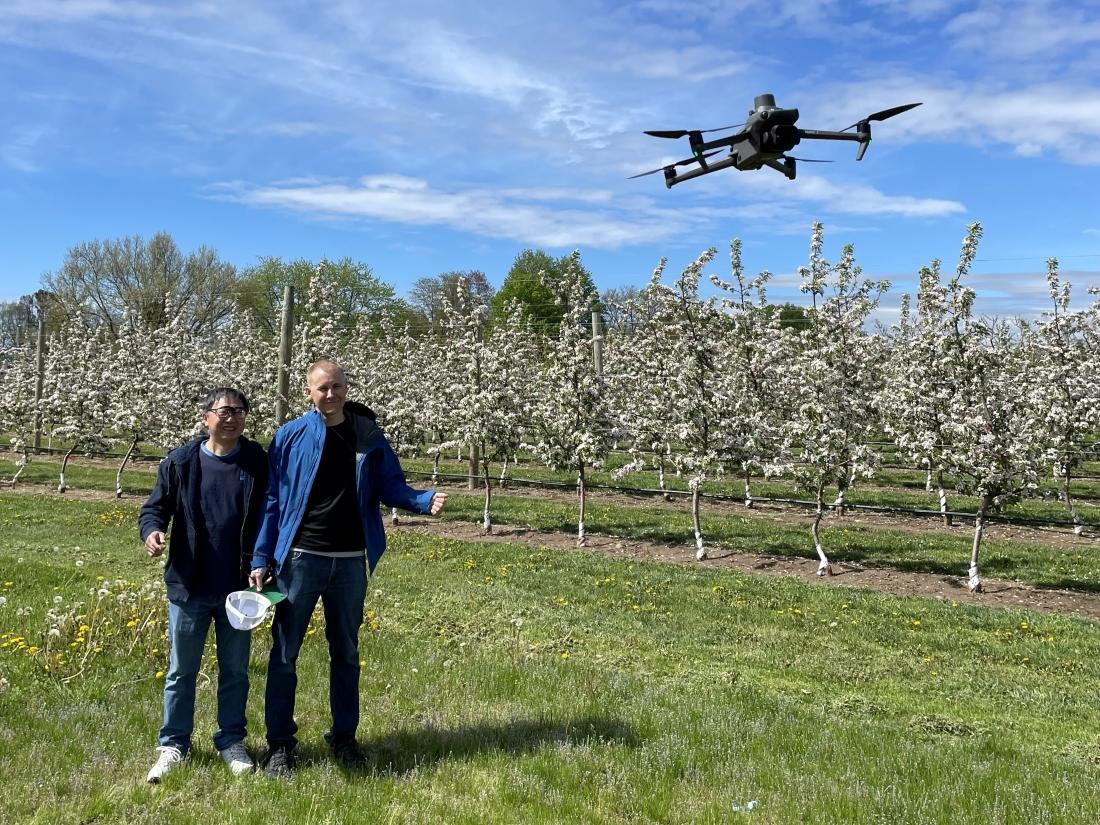 Two individuals standing in a blooming orchard with a drone flying above them.