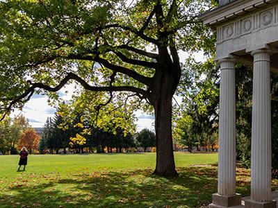 Solo graduate standing near the Portico on Johnston Green.
