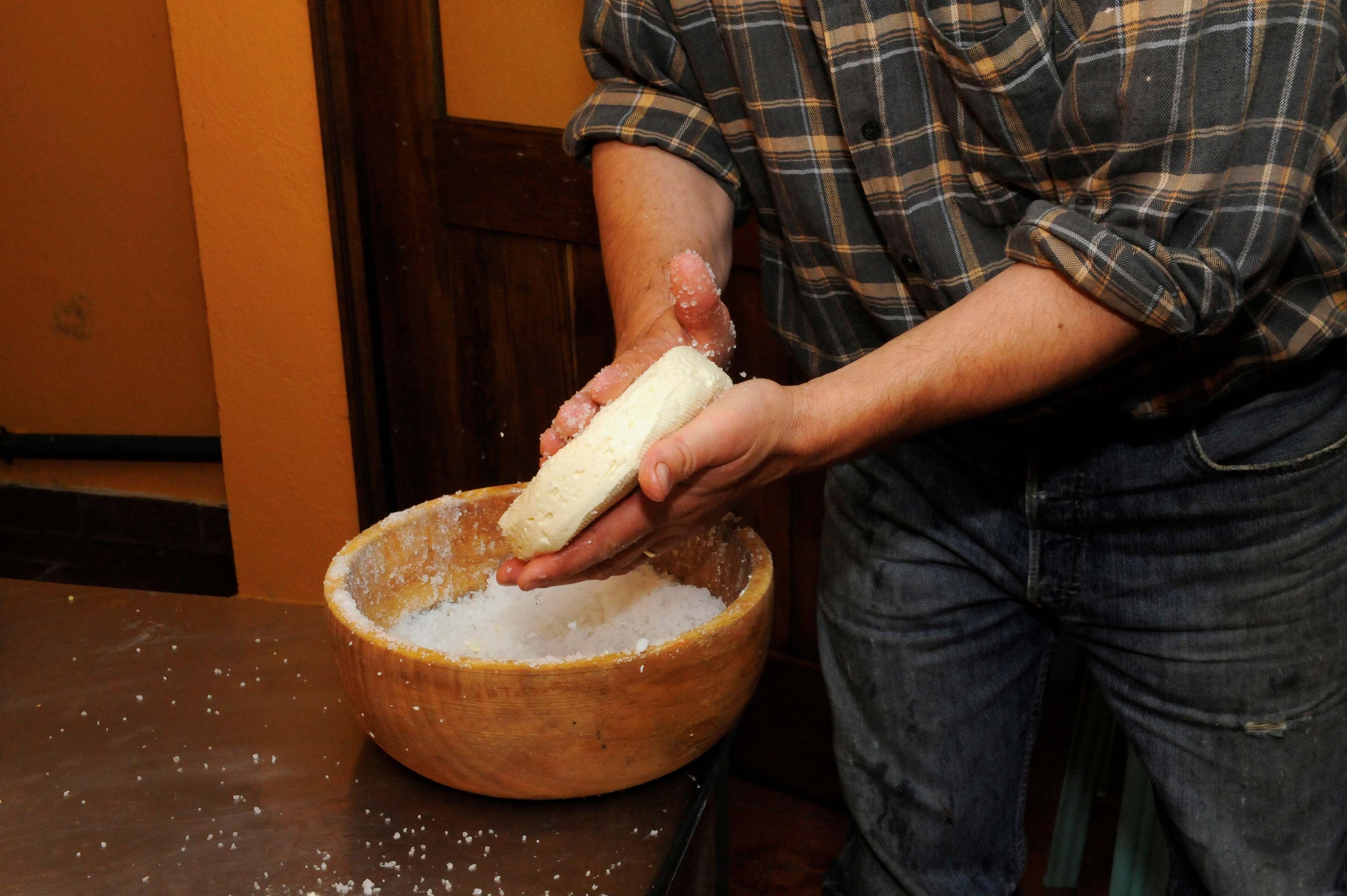 Person in flannel shirt making cheese at home