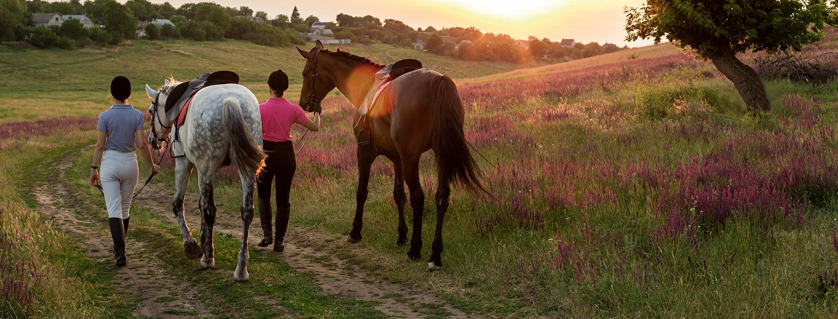 Two women walking their horses down a trail at sunset.