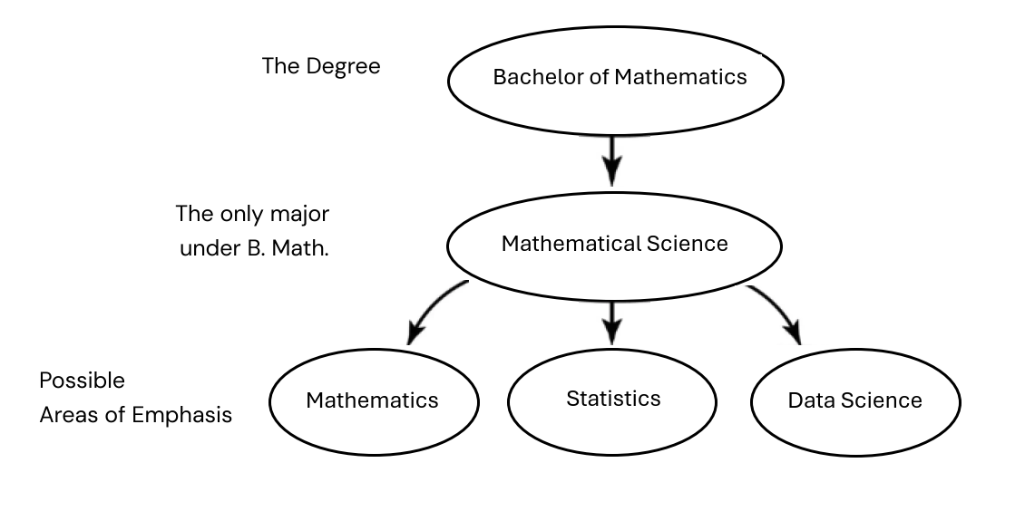 This is a flowchart illustrating the breakdown of the Bachelor of Mathematics degree, with the Mathematical Science major and options of three possible Areas of Emphasis (Mathematics, Statistics and Data Science)