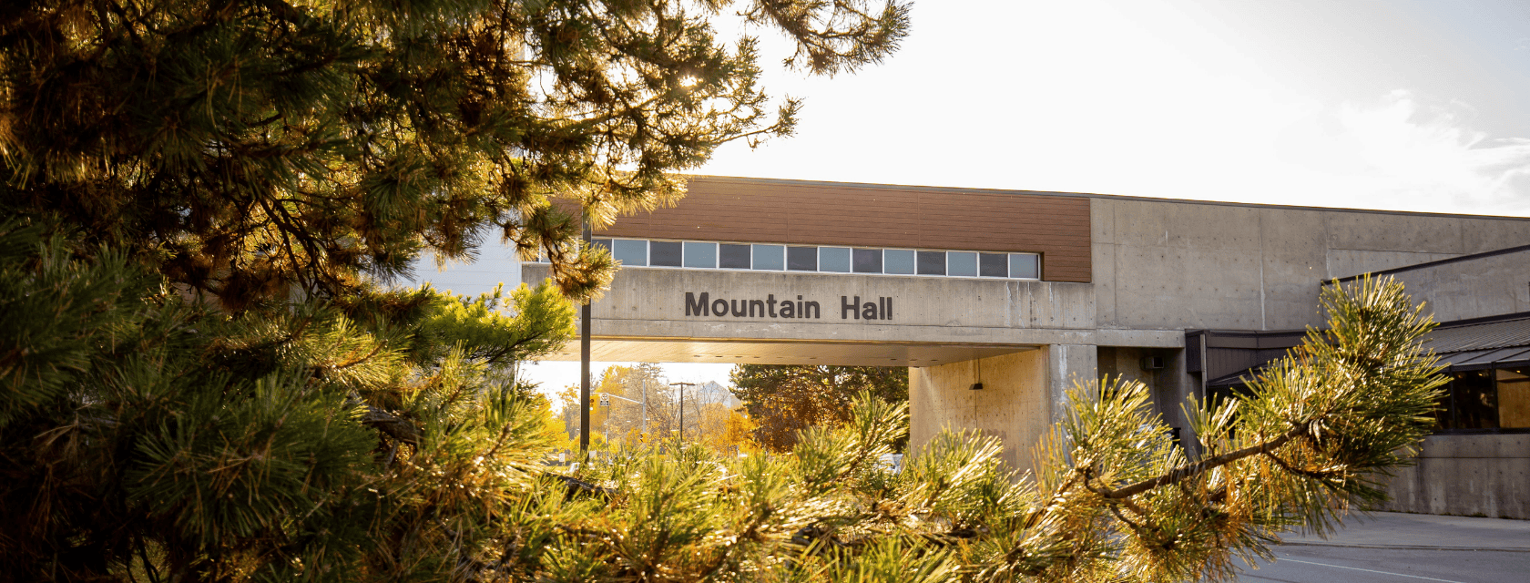 Mountain Hall bridge through some trees