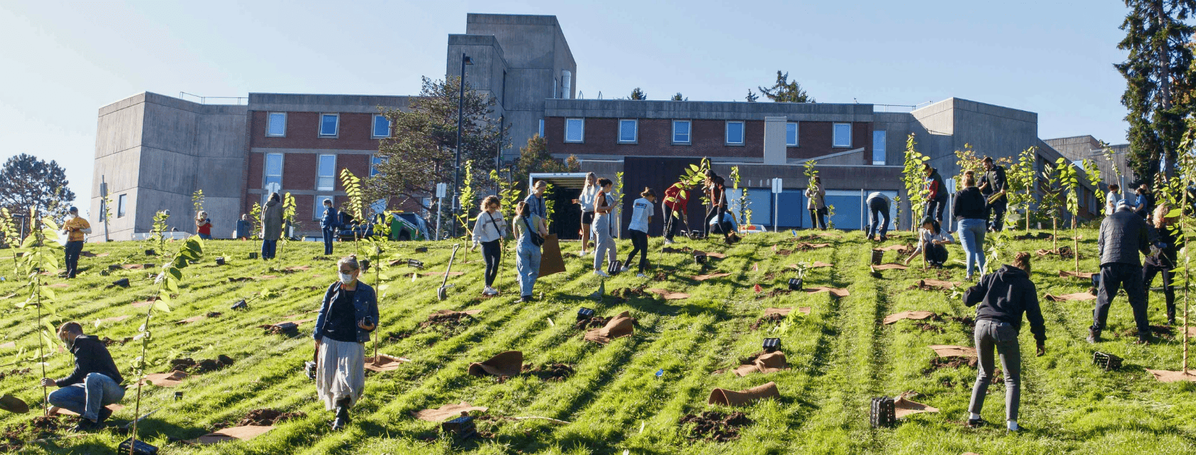 People planting trees