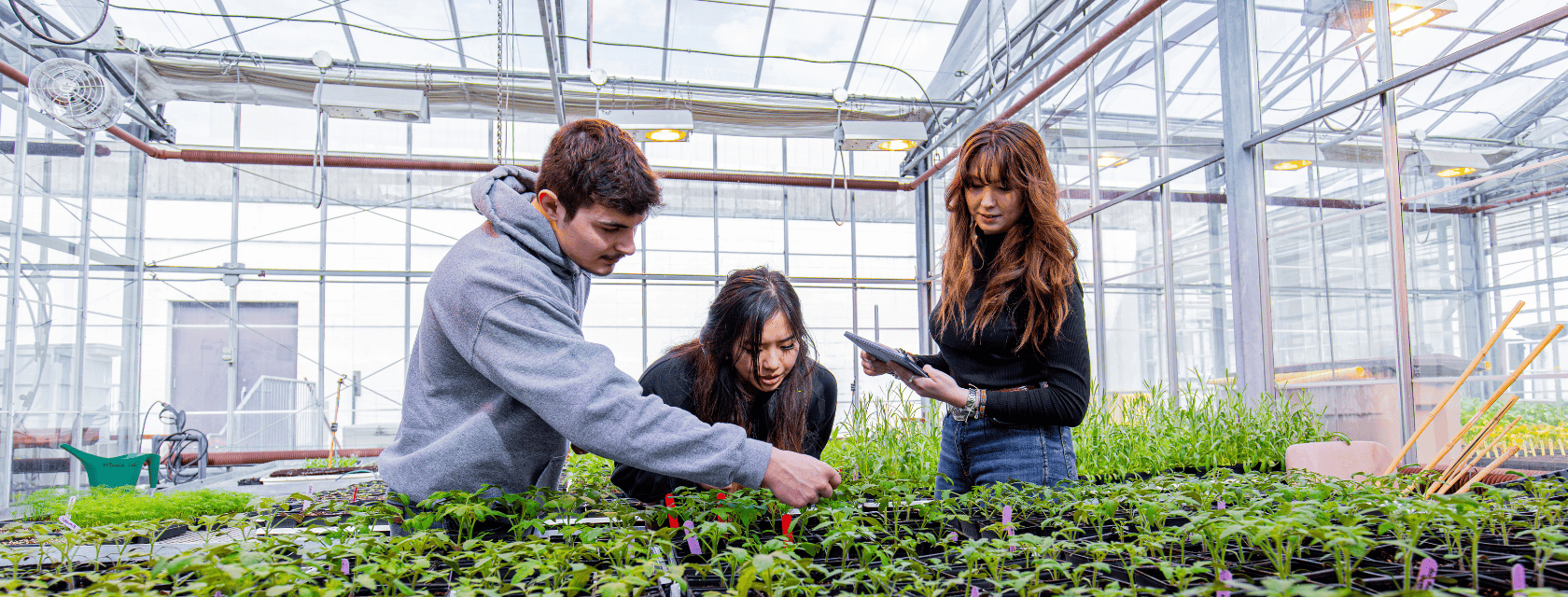 students in the green house examining plants