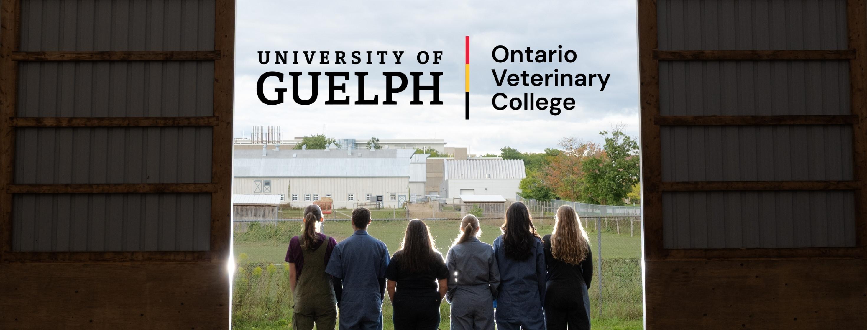OVC students standing in barn. Text overly: "University of Guelph | Ontario Veterinary College"