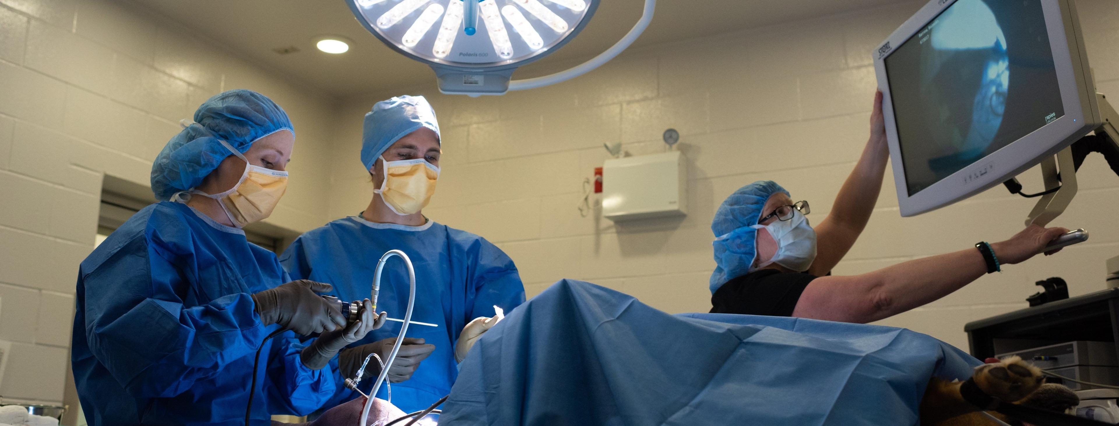 ovc surgery