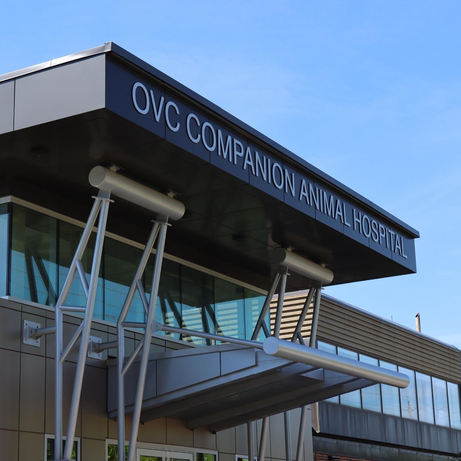 OVC companion animal hospital