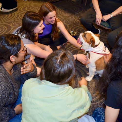 Students playing with a dog during take a paws event