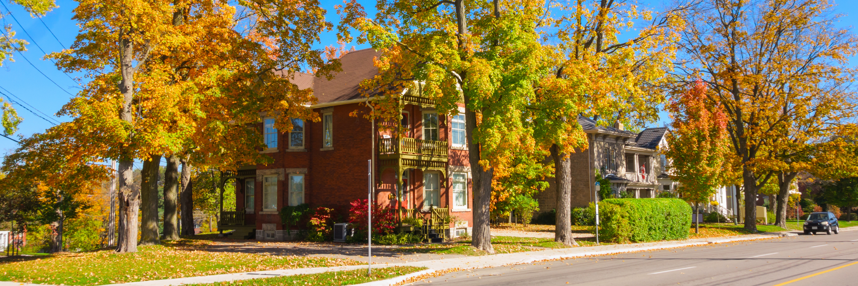 A Guelph neighbourhood