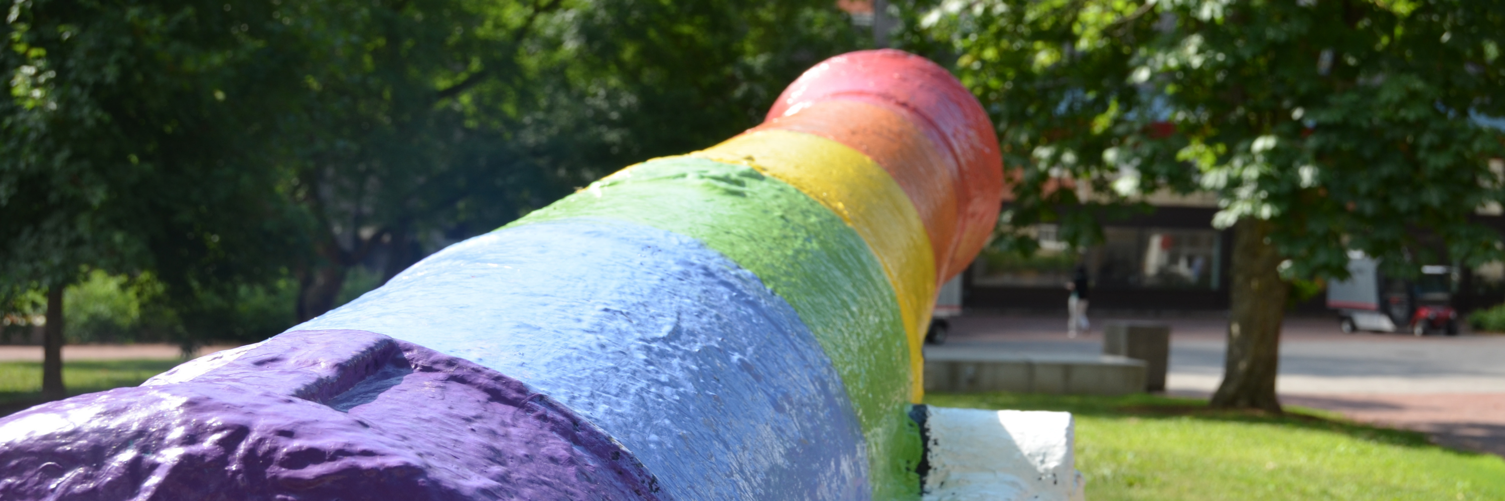 The cannon painted in pride colours