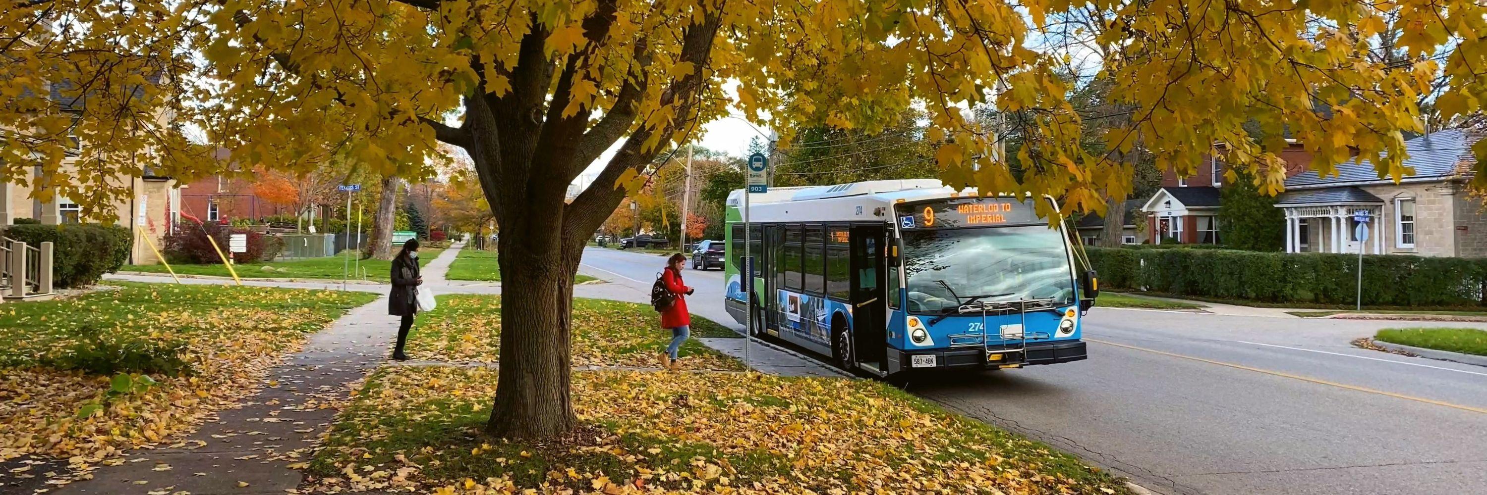 Student getting on Guelph Transit bus in Fall.