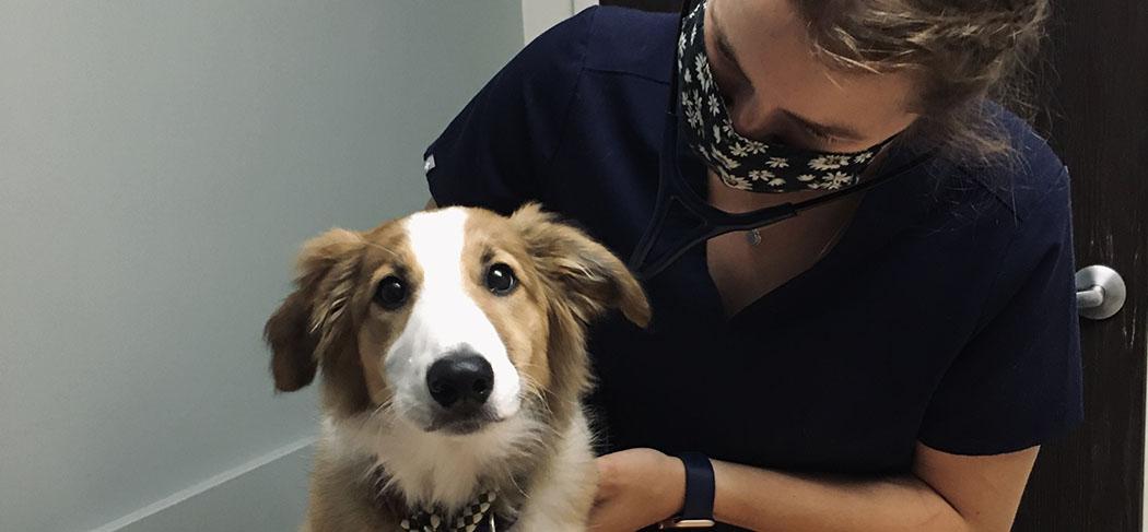 Student veterinarian with a puppy