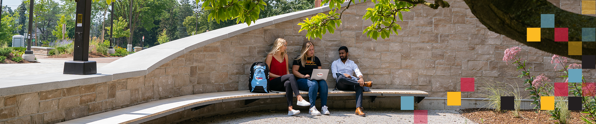 students sitting below a tree