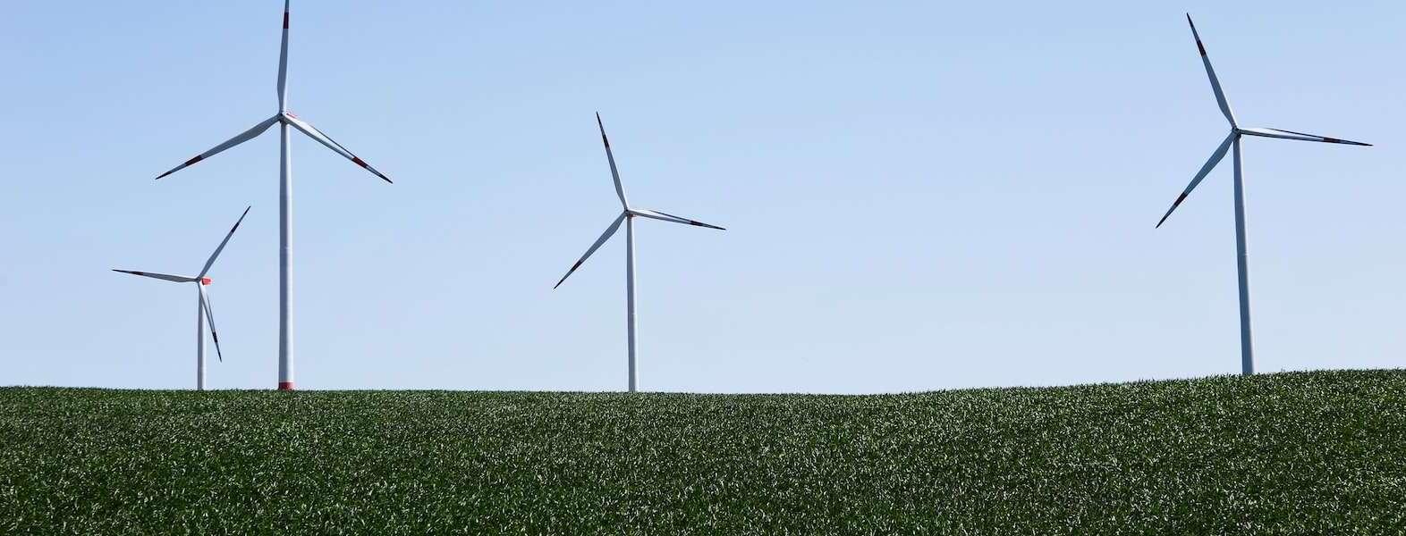 a photo of windmills in a field